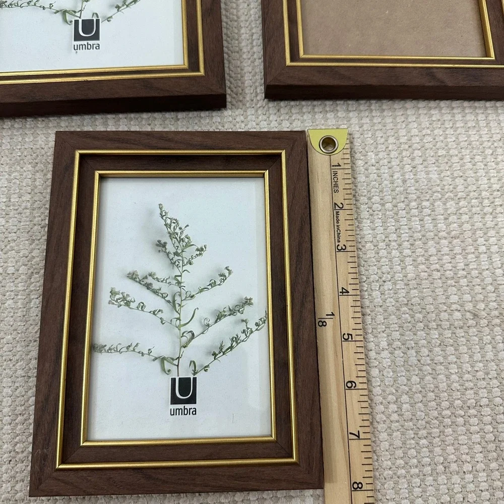Umbra Wood Picture Frames Set of 3 Walnut Gold Trim 5x7 4x6 Tabletop Decor
